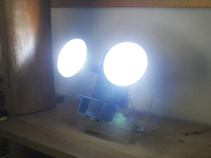 Solar Security Light in Action