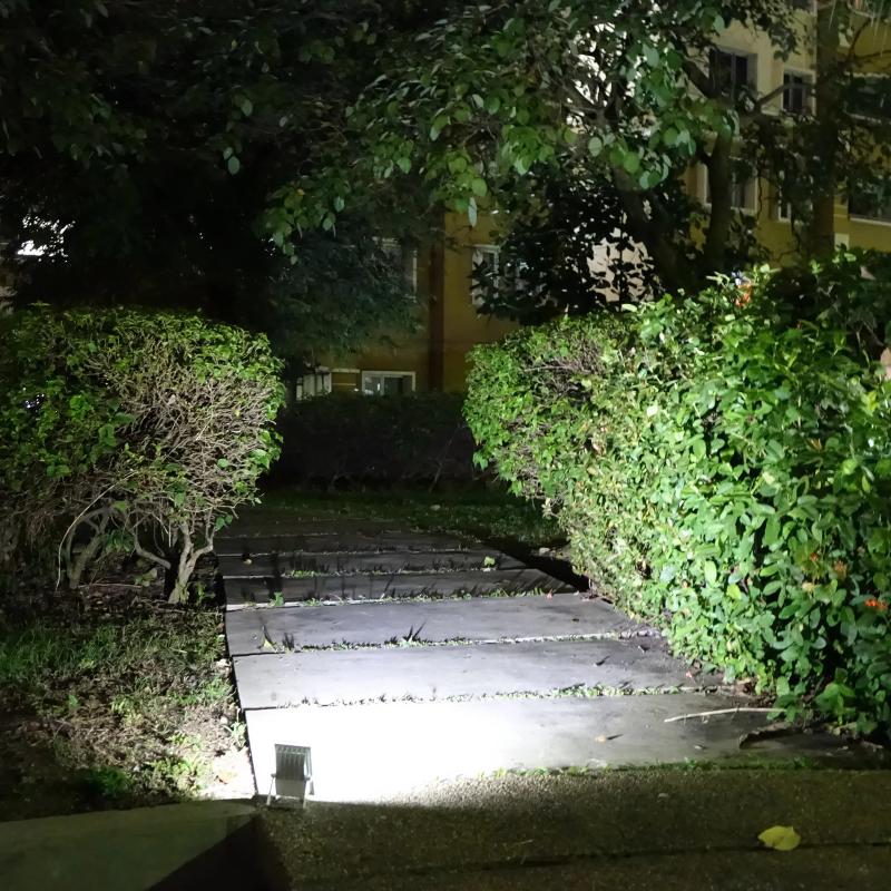 Alpha 180X Solar Flood Light